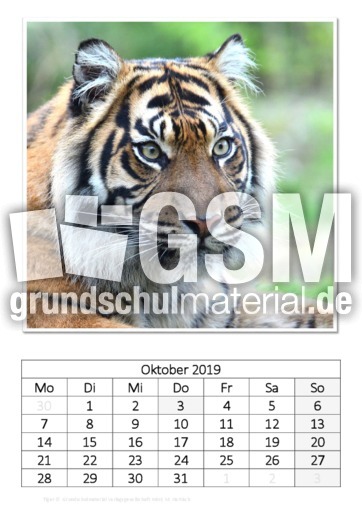 Oktober_Tiger.pdf